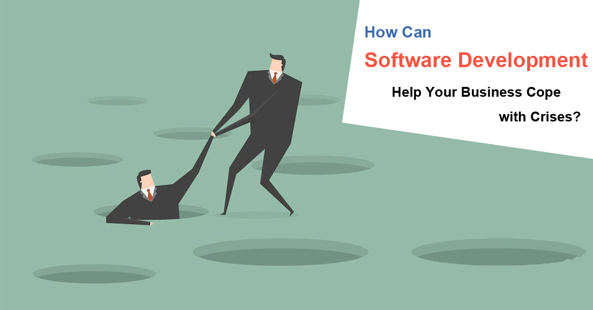 How Can Software Development Help Your Business Cope with Crises?