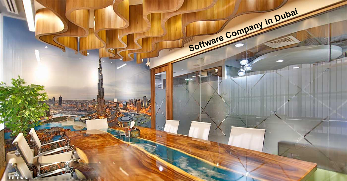 How to Choose Software Company in Dubai to Seize Best Services