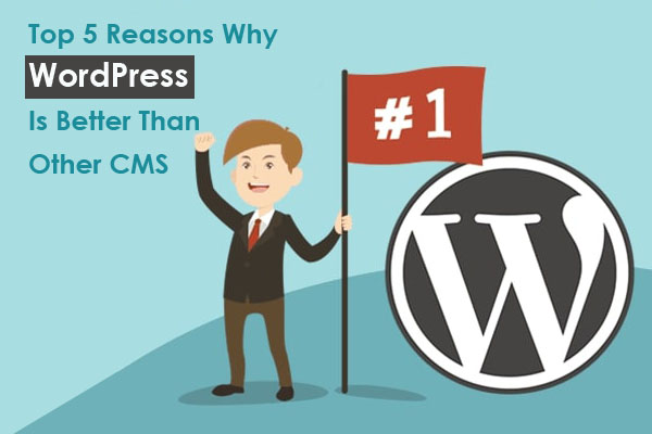 Top 5 Reasons Why WordPress Is Better Than Other CMS
